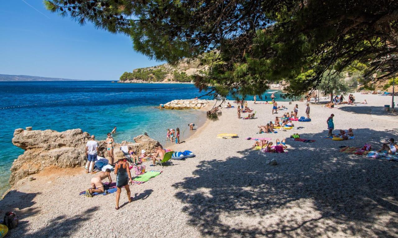 Apartman Luxury Tinel *