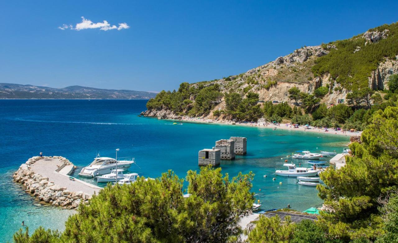 Apartment Luxury Tinel Mimice
